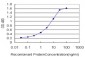 EMR4 Antibody (monoclonal) (M01)