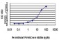 ENC1 Antibody (monoclonal) (M02)