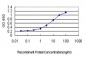 ENO2 Antibody (monoclonal) (M01)