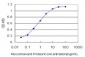 EP300 Antibody (monoclonal) (M02)