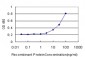 EPHX1 Antibody (monoclonal) (M01)