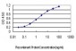 EPOR Antibody (monoclonal) (M01)