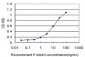 ERN1 Antibody (monoclonal) (M06)