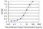 ETV4 Antibody (monoclonal) (M01)