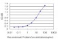 ETV5 Antibody (monoclonal) (M01)