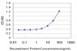 EXOC3 Antibody (monoclonal) (M01)
