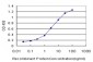 F9 Antibody (monoclonal) (M01)