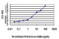 FAAH Antibody (monoclonal) (M07)