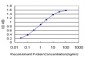 FADD Antibody (monoclonal) (M01)