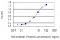 FAF1 Antibody (monoclonal) (M01)