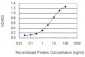 FAF1 Antibody (monoclonal) (M01)