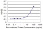 FAP Antibody (monoclonal) (M01)