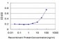 FBL Antibody (monoclonal) (M01)