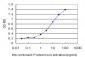 FBL Antibody (monoclonal) (M09)