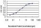 FBLIM1 Antibody (monoclonal) (M10)