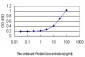 FBXL3 Antibody (monoclonal) (M01)