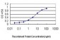 FBXO22 Antibody (monoclonal) (M01)