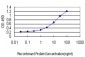 FBXW7 Antibody (monoclonal) (M02)