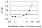 FCER1A Antibody (monoclonal) (M01)