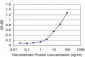 FGF8 Antibody (monoclonal) (M04)