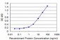 FGF8 Antibody (monoclonal) (M05)