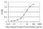 FGL2 Antibody (monoclonal) (M02)