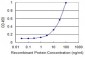 FH Antibody (monoclonal) (M09)