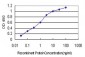 FHIT Antibody (monoclonal) (M03)