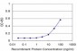 FHIT Antibody (monoclonal) (M07)