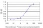 FHL1 Antibody (monoclonal) (M01)