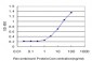 FIS1 Antibody (monoclonal) (M01)