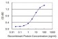 FIS1 Antibody (monoclonal) (M02)