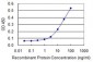 FKBP10 Antibody (monoclonal) (M01)