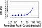 FKBP1A Antibody (monoclonal) (M01)