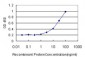 FKBP4 Antibody (monoclonal) (M01)