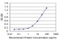 FOSL2 Antibody (monoclonal) (M02)