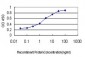 FOXA2 Antibody (monoclonal) (M01)