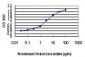 FOXA2 Antibody (monoclonal) (M10)