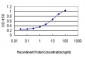 FOXC2 Antibody (monoclonal) (M02)