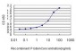 FOXC2 Antibody (monoclonal) (M03)