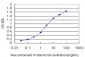 FOXM1 Antibody (monoclonal) (M01)