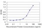 FOXO1A Antibody (monoclonal) (M04)