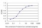 FOXO3A Antibody (monoclonal) (M02)