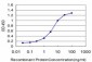 FOXQ1 Antibody (monoclonal) (M01)