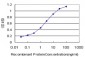 FTCD Antibody (monoclonal) (M01)