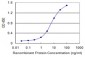 FUBP1 Antibody (monoclonal) (M03)