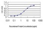 FXR1 Antibody (monoclonal) (M01)