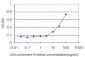 FZD3 Antibody (monoclonal) (M09)