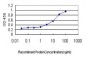 FZD5 Antibody (monoclonal) (M01)