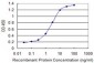 FZR1 Antibody (monoclonal) (M09)